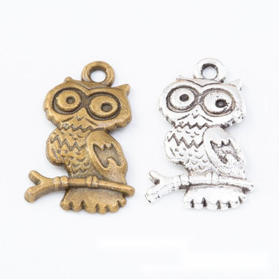 Group view of a compact round-eyed owl sits on a textured branch