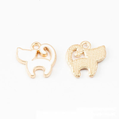 Group view of cat pair styles on a white background