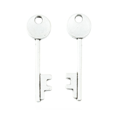 Slim key with a plain circular bow and two teeth shown in the available finishes