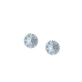 Silver Mini Daisy Leaf Star Antler Planet Stud Earrings view 5