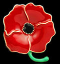 Red Black Flower Crystal Enamel Seven Designs Metal Brooch Pin view 10