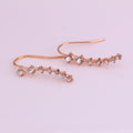 Curved Clear Look Star Row Hook Earrings in Two Finishes view 2