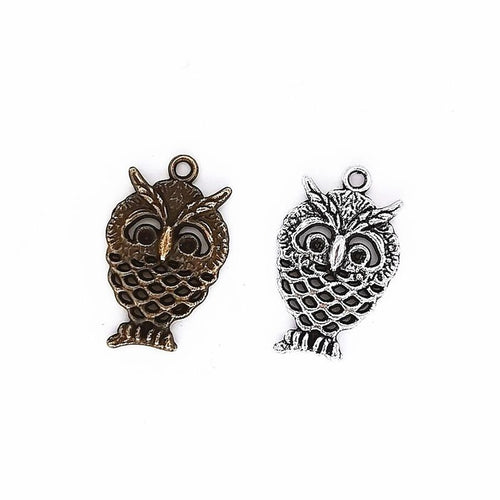 Wide-Eyed Owl Charm front and reverse details on a white background