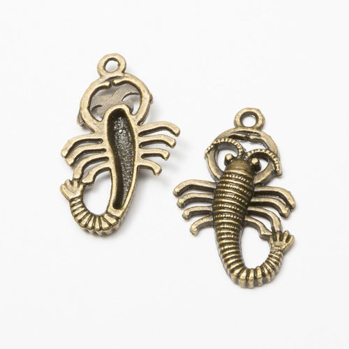 Detailed front and back view of 蜈蚣 charm on a white background