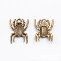 Detailed Spider Charm In Antique Bronze and Antique Silver Metal Finish view 2