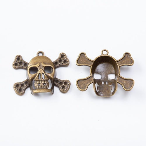 Close view of the skull and crossbones front and reverse