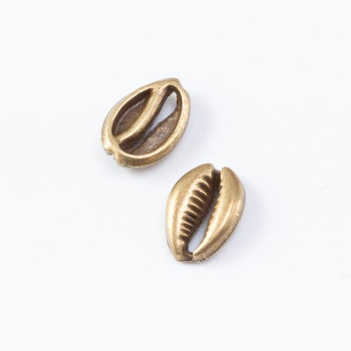 Close view of the a small cowrie shell form with ridged edges and an open slit