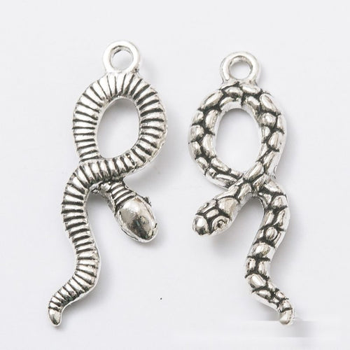 Coiled Snake Charm front and reverse details