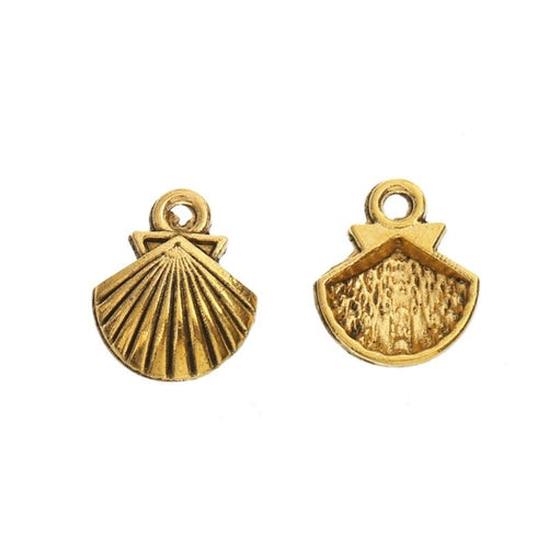 Close view of the scallop shell front and reverse