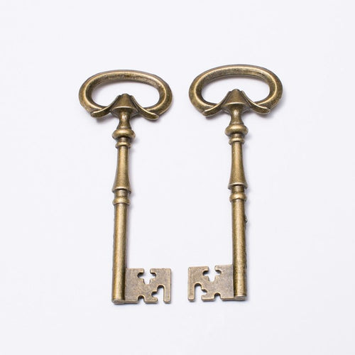 Skeleton Key metal component, reverse and front details on a white background.