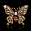 Black Butterfly