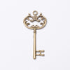Antique Bronze