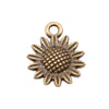 Antique Bronze