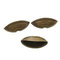 Ridged Shell Shape Metal Bead Caps in Two Antique Finishes view 5