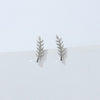 Silver Fern