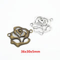 Zinc Alloy Charm Pendant No.157541 for DIY Necklace Bracelet Jewelry Making view 1
