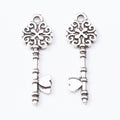 Zinc Alloy Key Charm Pendant No.056802 for DIY Necklace Bracelet Jewelry Making view 3