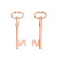 Zinc Alloy Key Charm Pendant No.479079 for DIY Necklace Bracelet Jewelry Making view 4