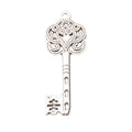 Zinc Alloy Key Charm Pendant No.256214 for DIY Necklace Bracelet Jewelry Making view 2