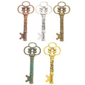 Zinc Alloy Key Charm Pendant No.748906 for DIY Necklace Bracelet Jewelry Making view 5