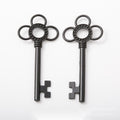 Flower-Bow Skeleton Key Metal Charms in 1 Pictured Finish view 3