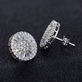 Women's Full Zircon Round Stud Earrings, Silver Plated Floral Ear Jewelry Accessories view 4