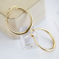 Punk Nightclub Smooth Large Round Hoop Earrings For Fashion Accessories view 2