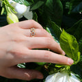 Hot Selling Copper Punk Ring Creative European American Style Men's Finger Ring Accessory view 3