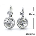 Simple Round Zircon Women's Earrings, European American Style Jewelry Accessories view 4