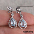 Creative Blue Cubic Zirconia Earrings For Women, Elegant Versatile Fashion Jewelry view 5
