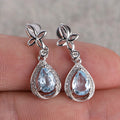 Creative Blue Cubic Zirconia Earrings For Women, Elegant Versatile Fashion Jewelry view 1