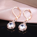 Luxury Copper Plated Zircon Drop Earrings Elegant Women's Dangle Jewelry view 2