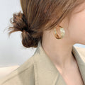 Alloy Silver Needle Geometric Twisted Hoop Earrings Trendy Light Luxury Statement Earrings for Women view 2