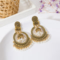 Vintage Bohemian Alloy Hoop Bell Pearl Tassel Lantern Drop Earrings view 4