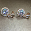 Elegant Women's Heart Shape Large Zircon Drop Stud Earrings, Fashion Versatile Jewelry view 3