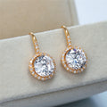 Korean Style Zircon Drop Earrings For Women, Delicate Versatile Fashion Jewelry view 6
