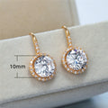 Korean Style Zircon Drop Earrings For Women, Delicate Versatile Fashion Jewelry view 5
