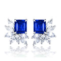 Princess Square Royal Blue Zircon Stud Earrings For Women, Elegant Creative Fashion Ear Jewelry view 1