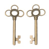 Antique Bronze