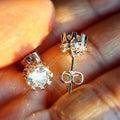 Classic Round Zircon Stud Earrings Eight Prong Snowflake Copper Platinum Plated Ear Jewelry view 3