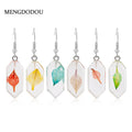 Elegant Transparent Resin Diamond-Shaped Dried Leaf Botanical Women's Dangle Drop Earrings view 1