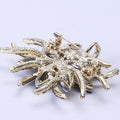 Alloy Crystal Brooch Pin For Sweaters Coats And Closure view 4