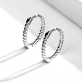 Simple Fashion Round Rope Hoop Earrings For Women, European American Couple Ear Buckle Jewelry view 2
