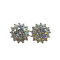 Simple Luxury Flower Full Crystal Stud Earrings, Korean Snowflake Micro Pave Zircon Jewelry view 5
