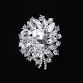 Alloy Crystal Glass Brooch Pin For Women's Fashion Clothing Accessories view 8