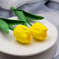 Long Tulip Flower Drop Earrings Elegant Acrylic Petal Leaf Statement Fashion Dangle Earrings view 4