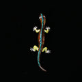 Alloy Enamel Gecko Brooch Pin For Trendy Apparel Decoration view 2
