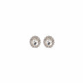Luxury Vintage Oval Crystal Rhinestone Halo Studs Elegant Court Style Alloy Silver Needle Earrings view 5