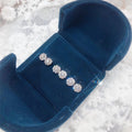 French Micro Paved Zircon Flower Stud Earrings For Women, Fresh Floral Fashion Ear Jewelry view 3