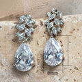 Elegant Leaf Zircon Earrings With French Water Drop Dangle, Simple Long Earrings For Women view 4